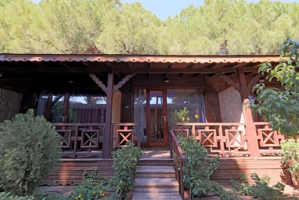 Flora Garden Beach Hotel - Adults Only 16 Plus - Couples Concept Kızılot Kültér fotó